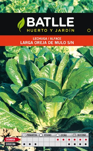 LECHUGA OREJA MULO 10GR.