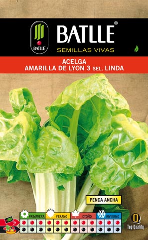 ACELGA  AMARILLA DE LYON.LINDA SOBRE