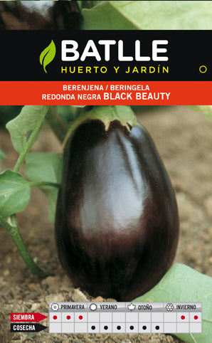 BERENJENA REDONDA BLACK BEAUTY