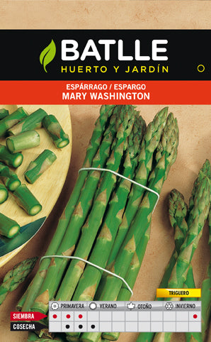 ESPARRAGO VERDE MARY WASHIN.SOBRE