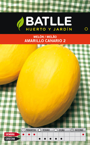 MELON AMARILLO CANARIO