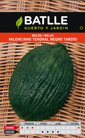 MELON TENDRAL NEGRO TARDIO