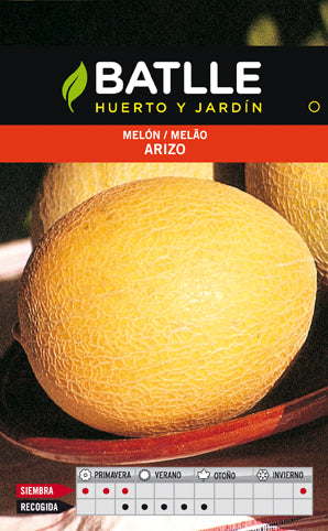 MELON ARIZO