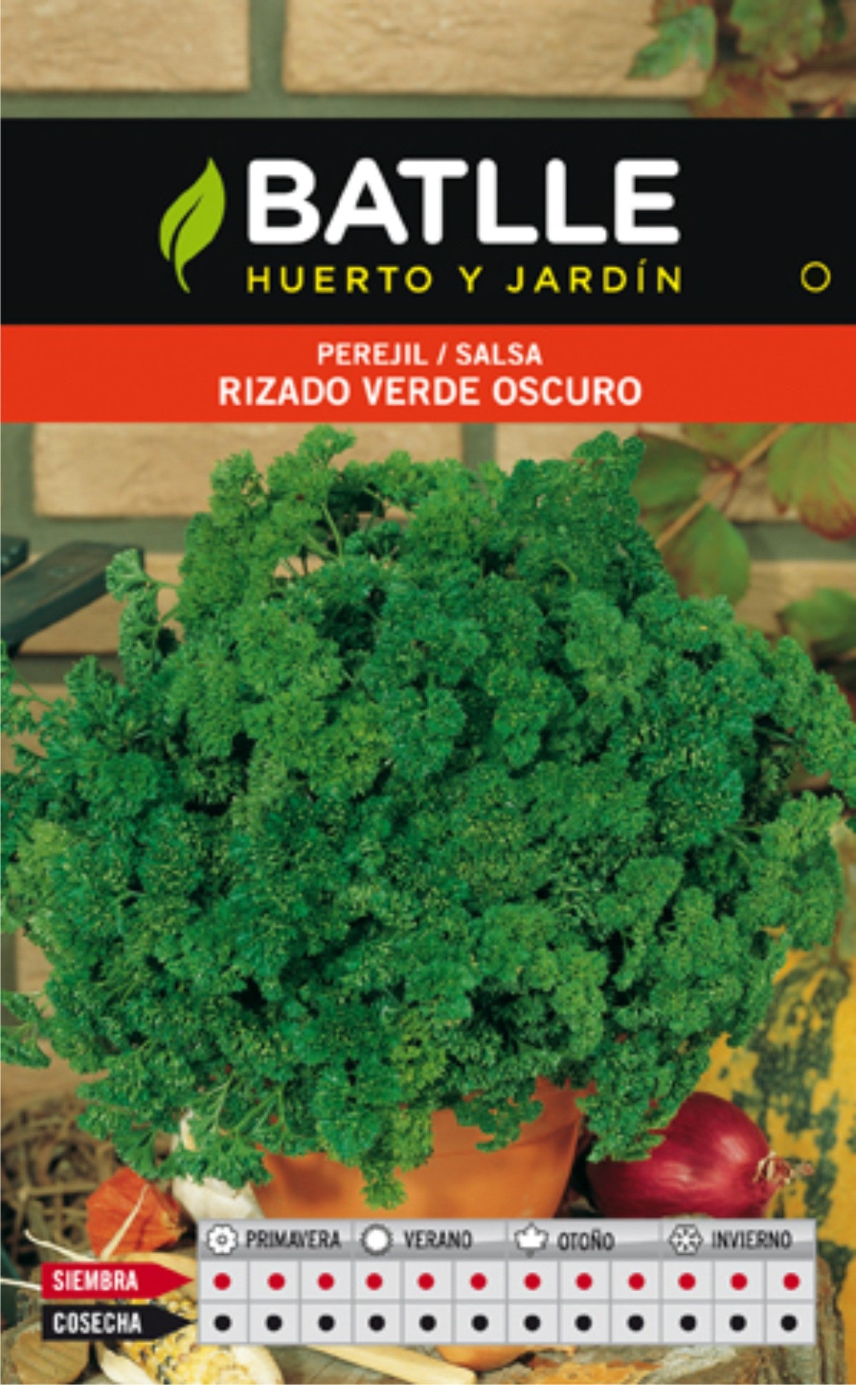 PEREJIL RIZADO VERDE OSCURO