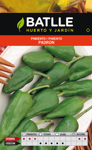 PIMIENTO DEL PADRON SOBRE