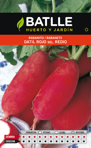 RABANITO DATIL ROJO SEL.REDIO.SOBRE