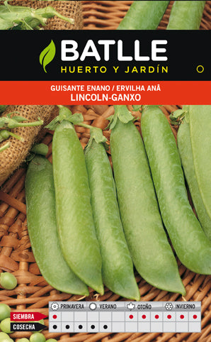 GUISANTE LINCOLN 250 GR.