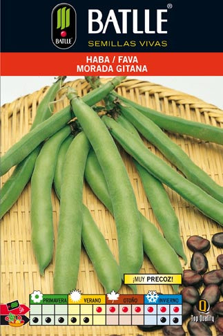 HABA MORADA GITANA 25 KG.