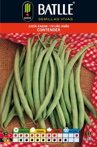 JUDIA CONTENDER 100 GR. ENANA