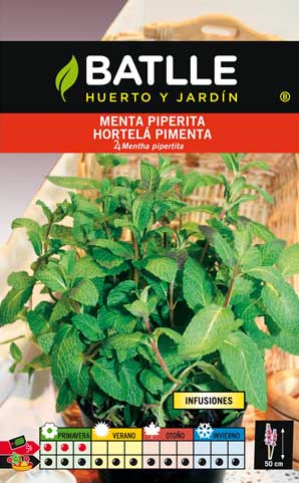 MENTA PIPERITA (INFUSIONES)  SOBRE