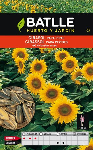 GIRASOL PARA PIPAS. BATLLE