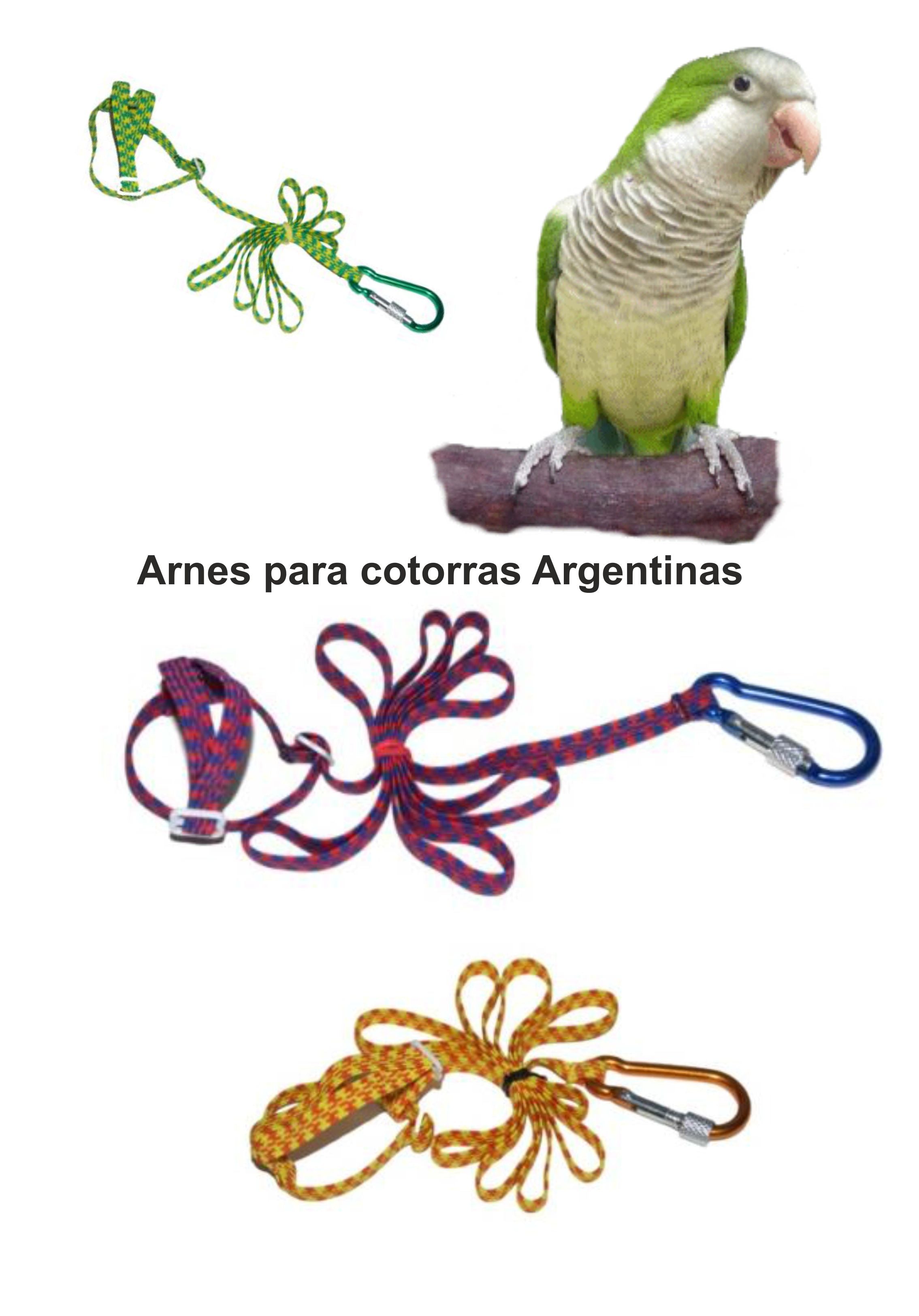 ARNES PARA COTORRA ARGENTINA (VARIOS COLORES)